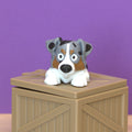Australian Shepherd