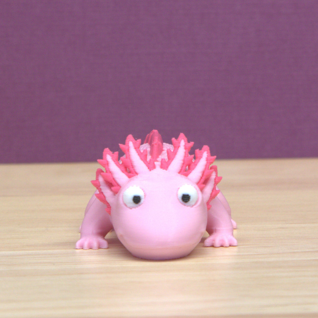 Axolotl