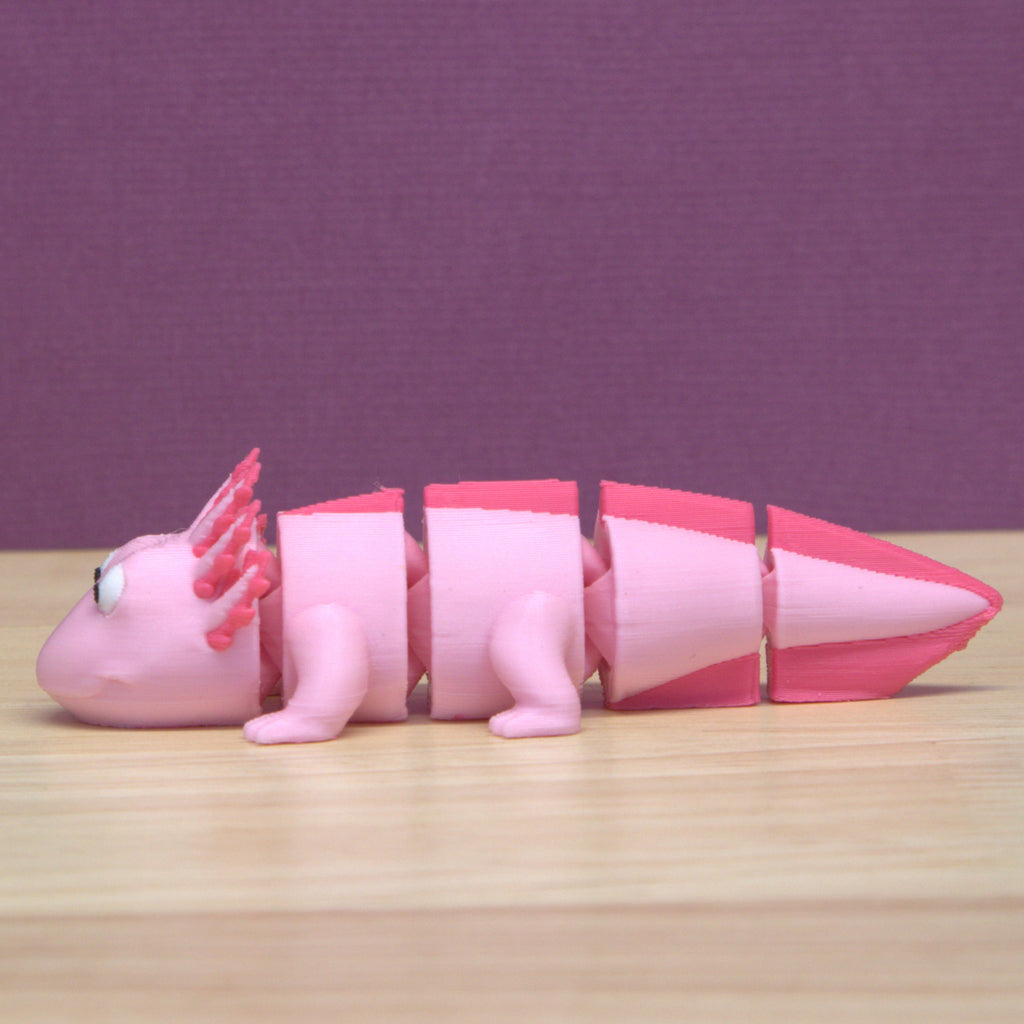 Axolotl