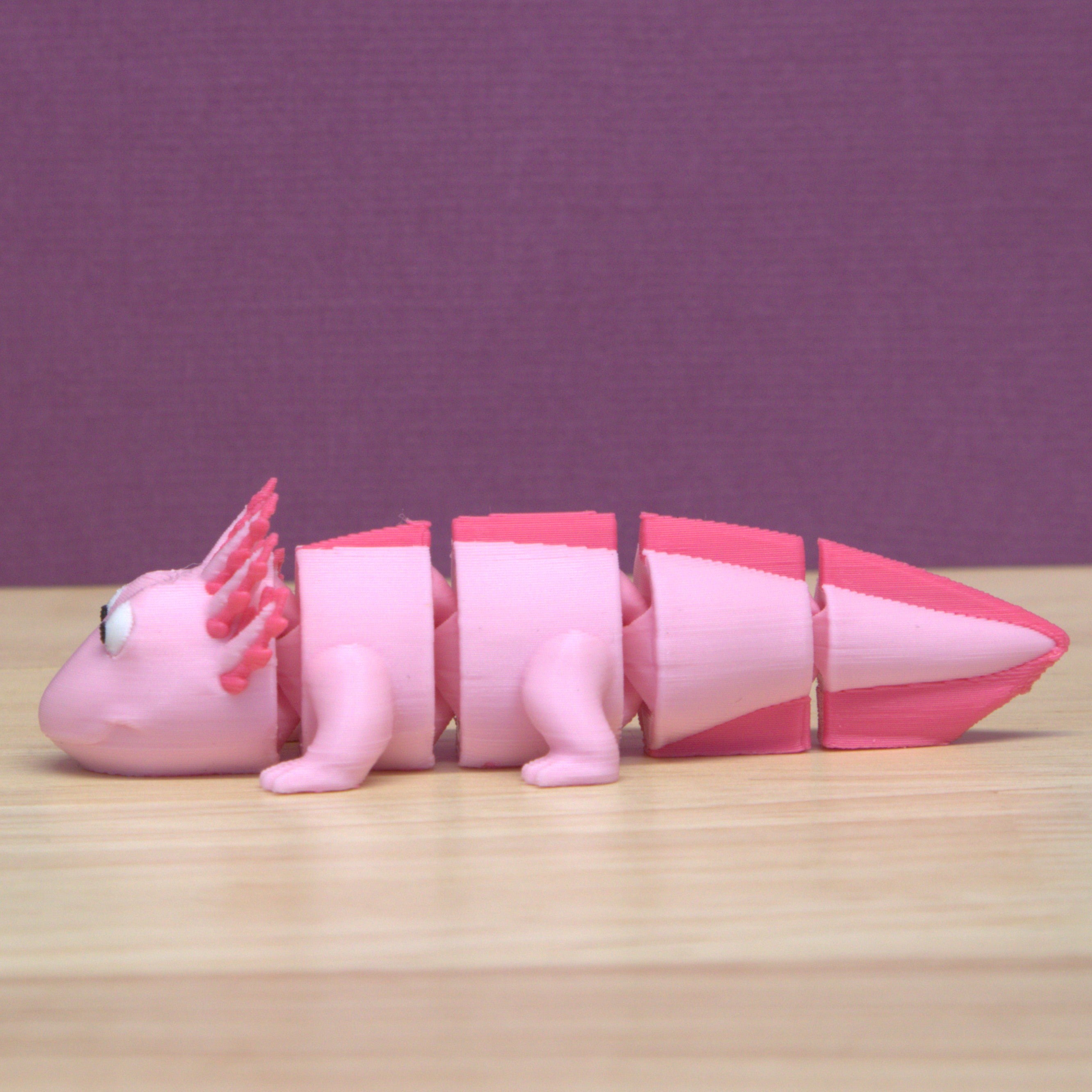 Axolotl