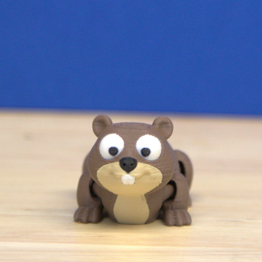 Beaver