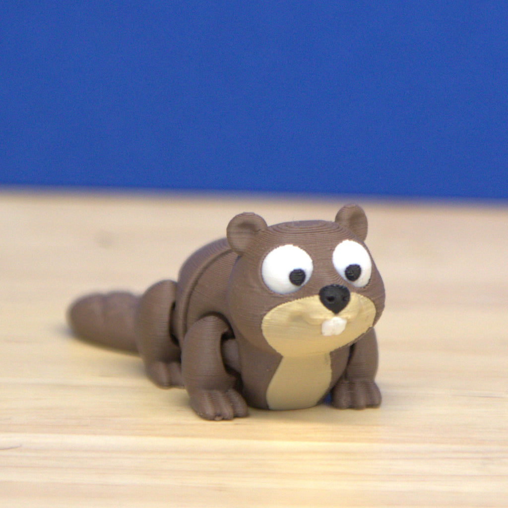 Beaver