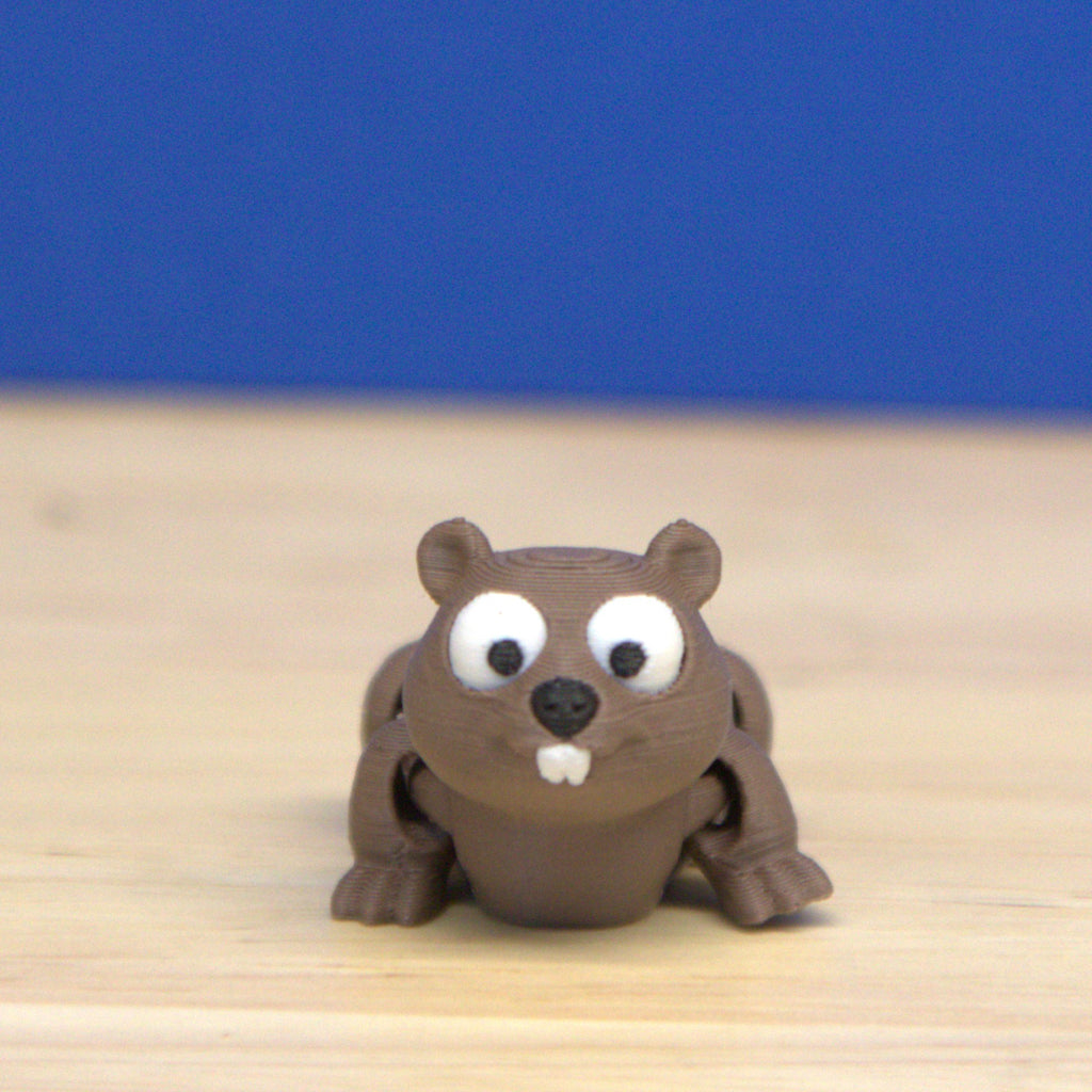 Beaver