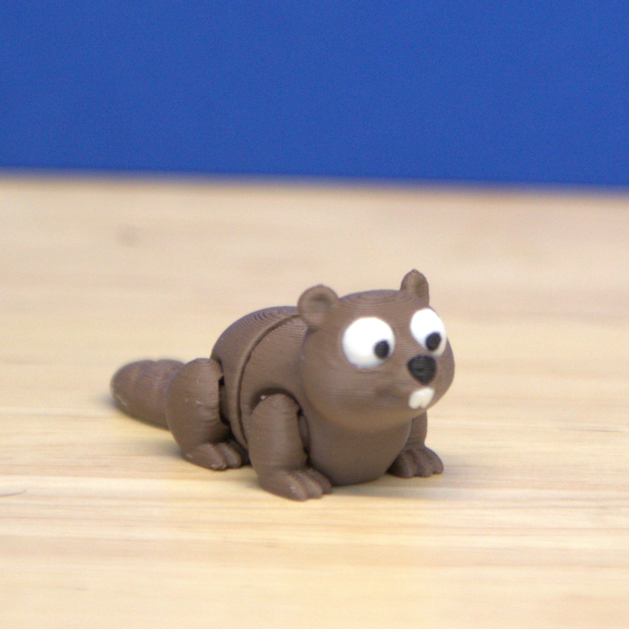 Beaver