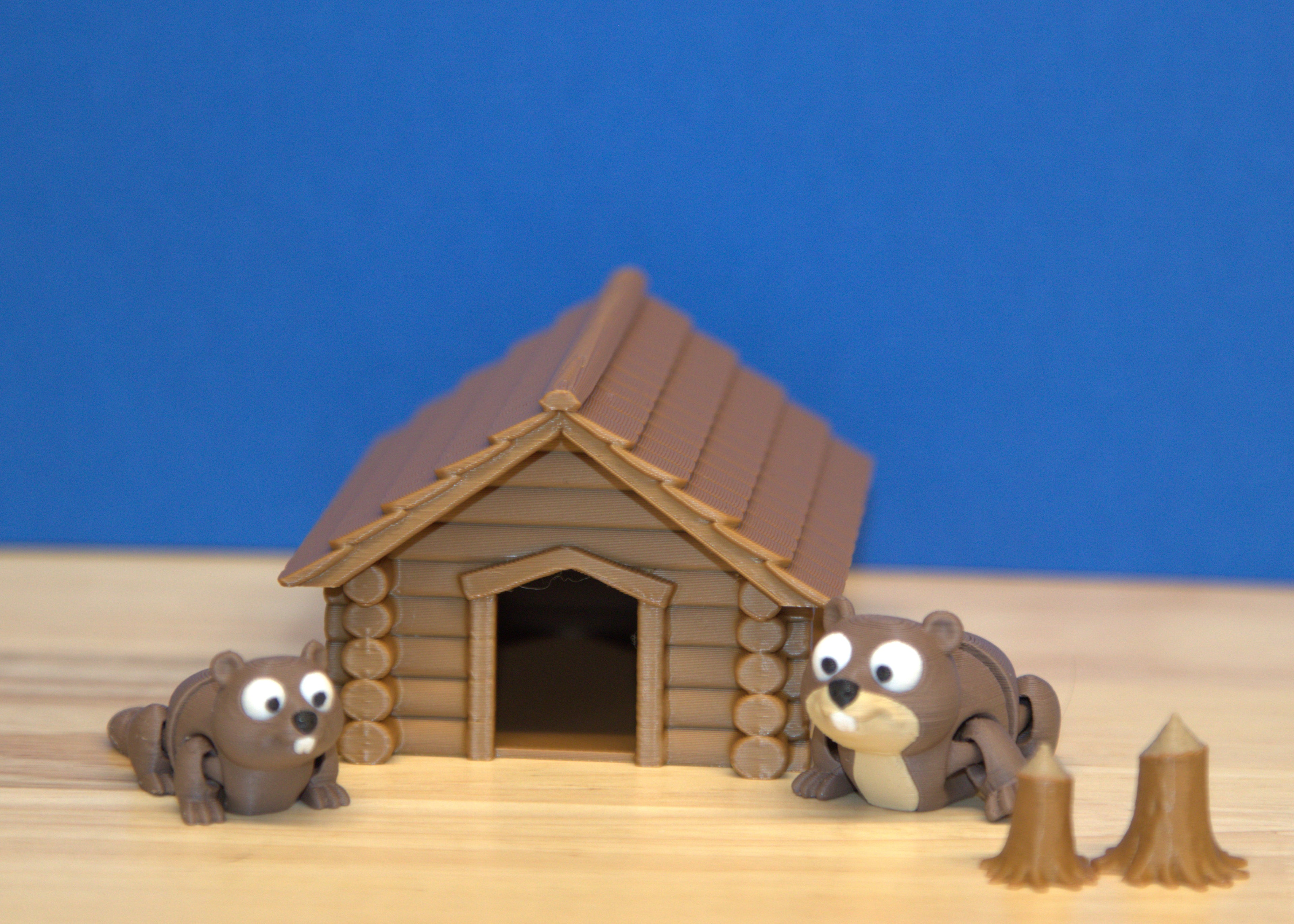 Beaver Set