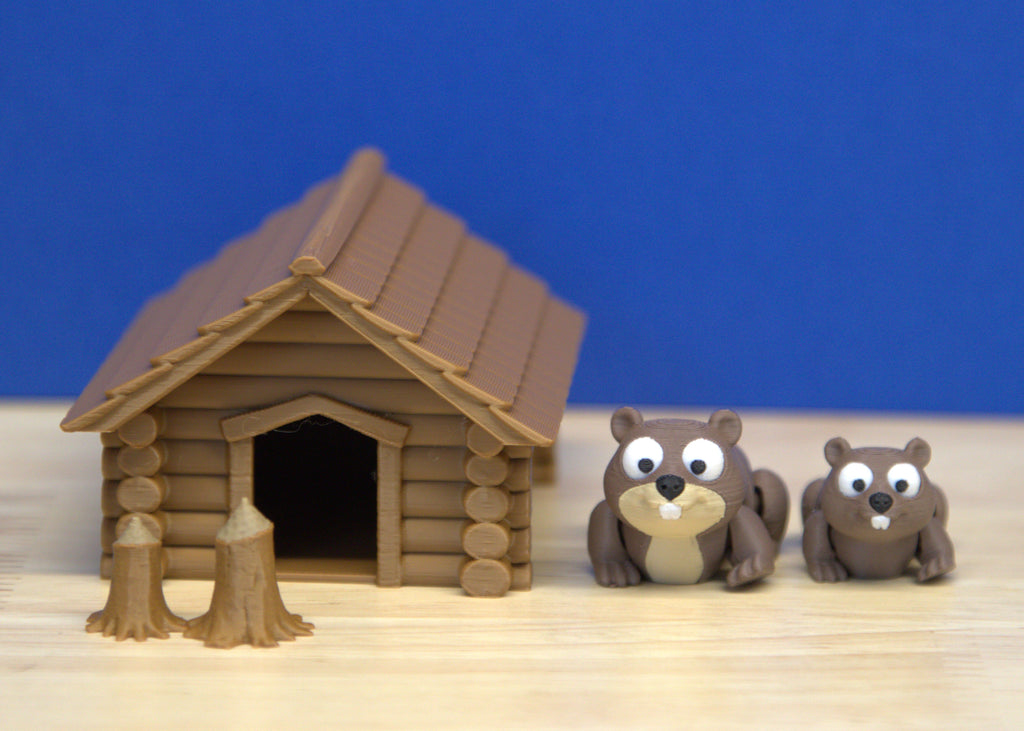 Beaver Set