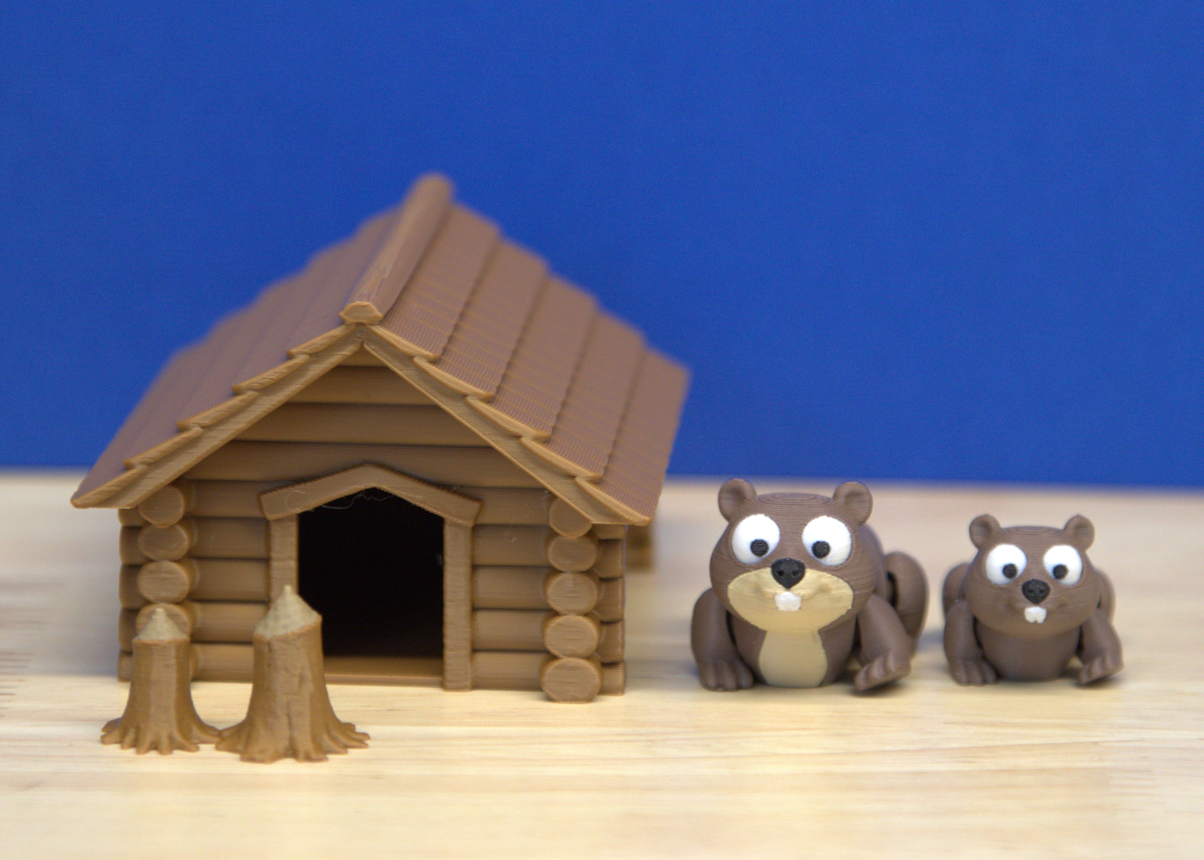 Beaver Set