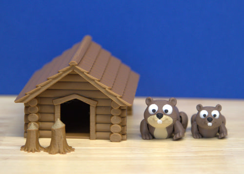 Beaver Set