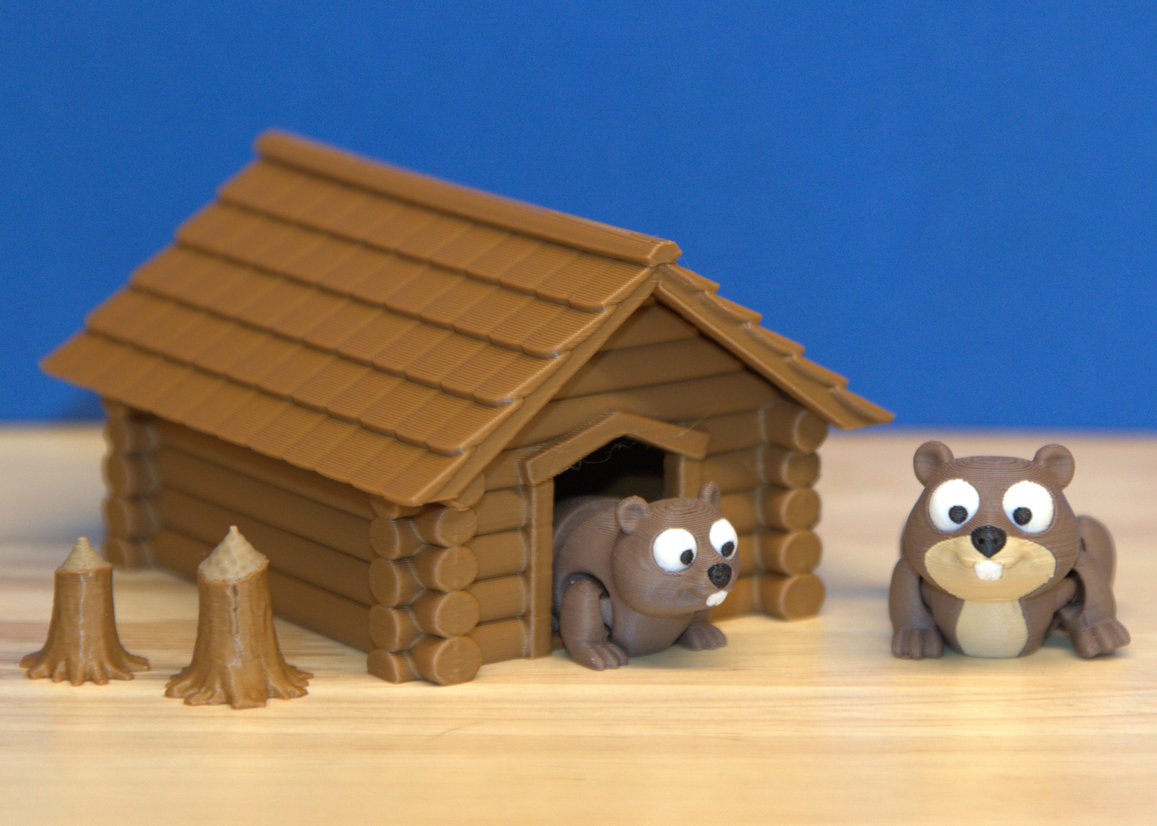 Beaver Set