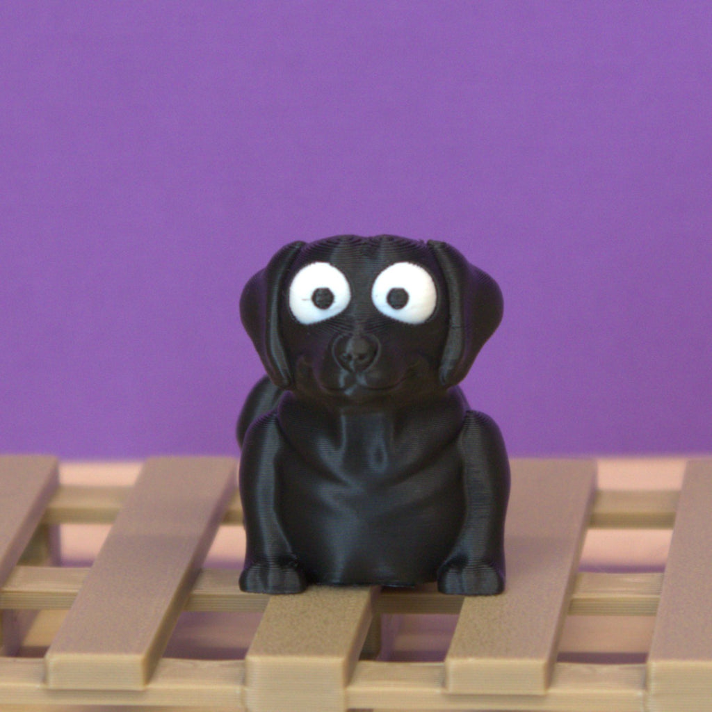 Labrador