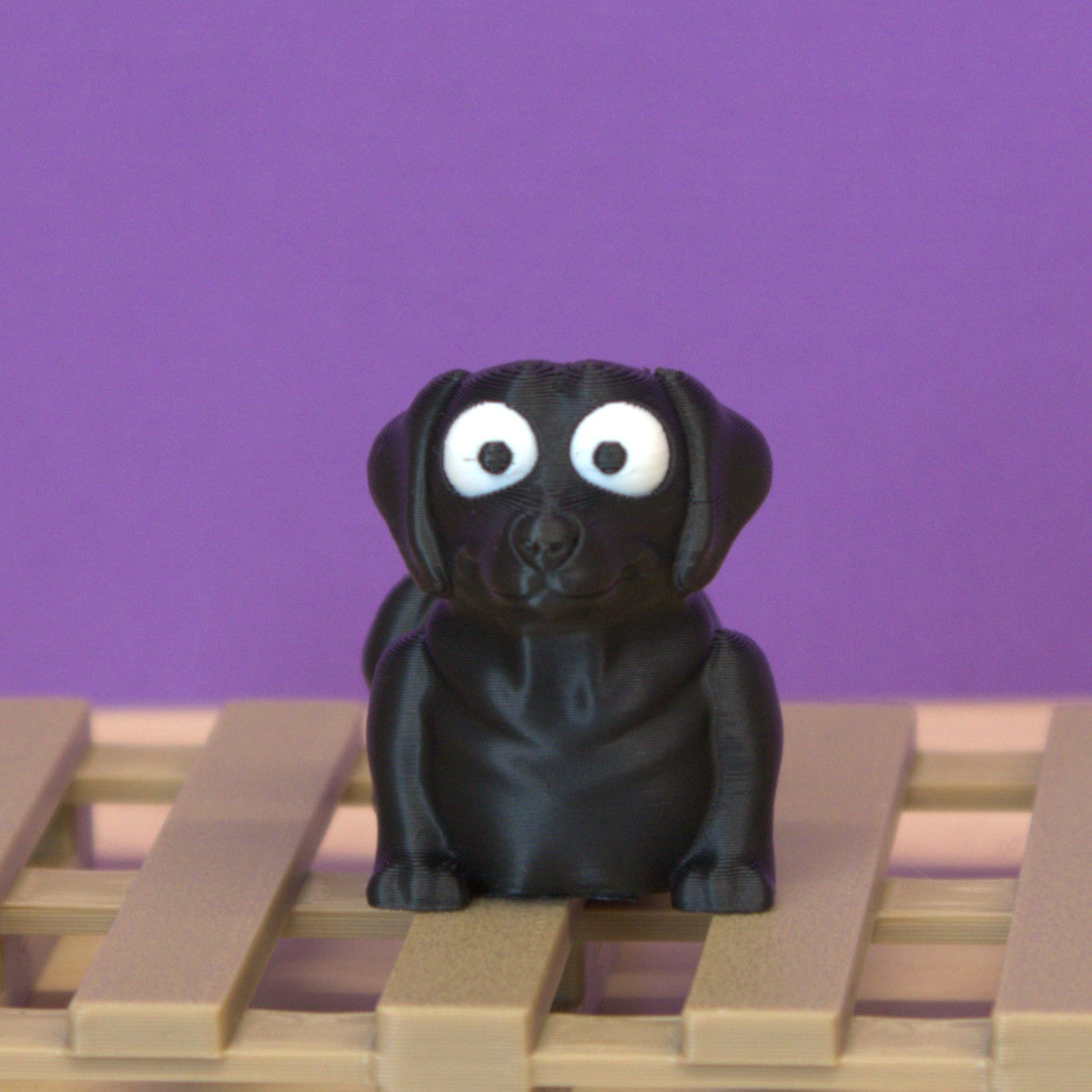 Labrador