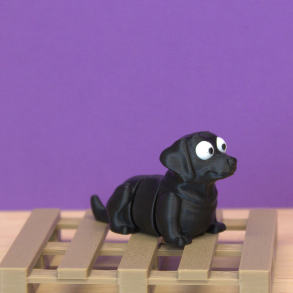 Labrador