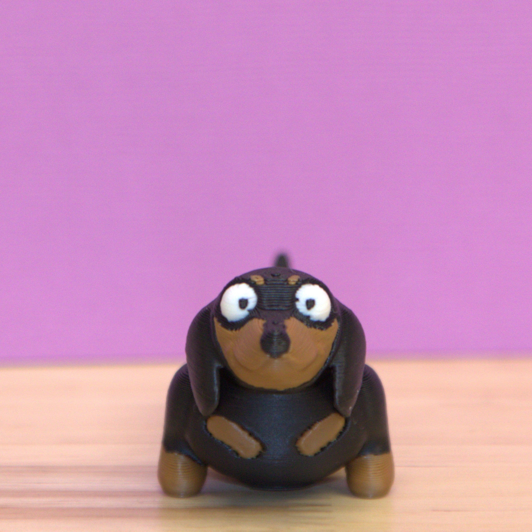 Dachshund