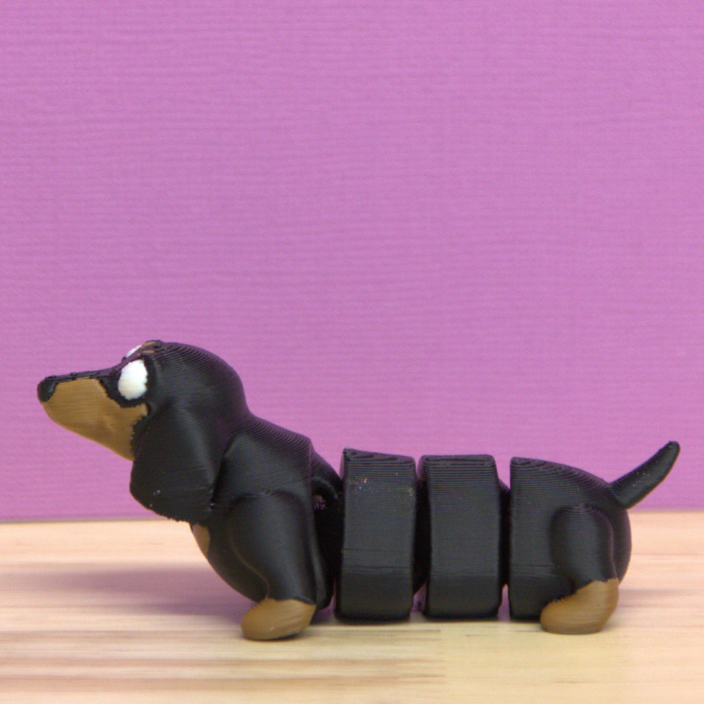 Dachshund