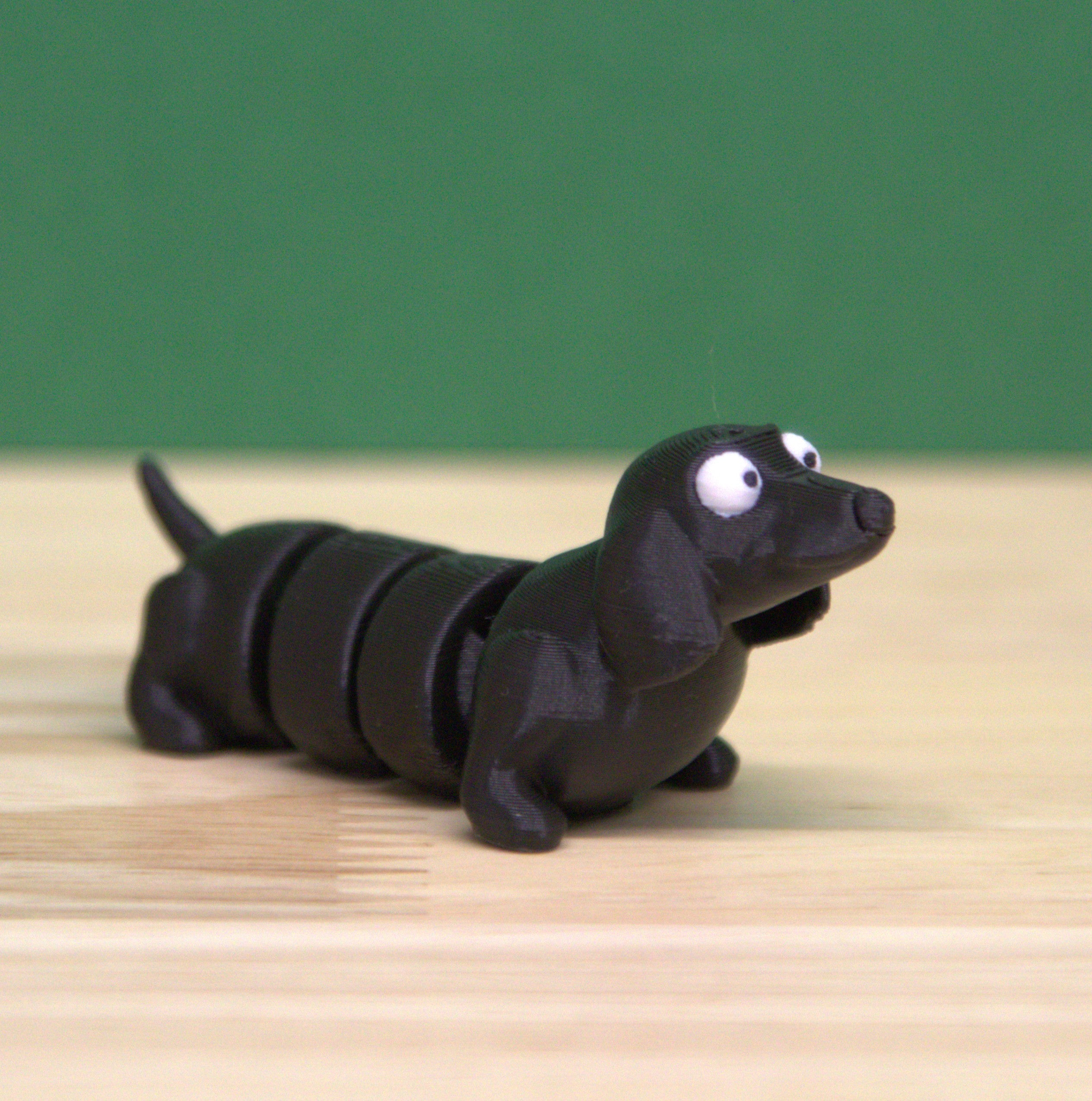 Dachshund