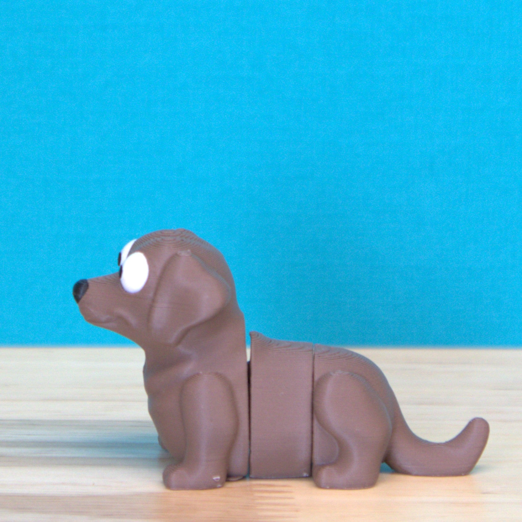 Labrador