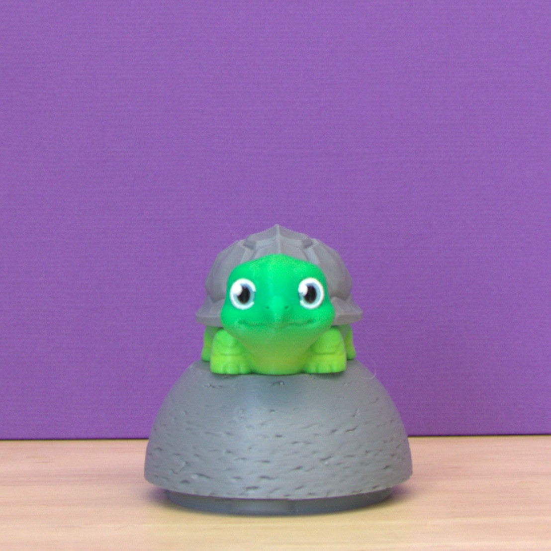 Ceres Turtle