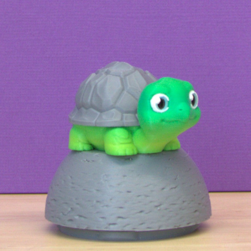 Ceres Turtle