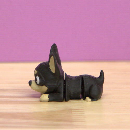 Chihuahua
