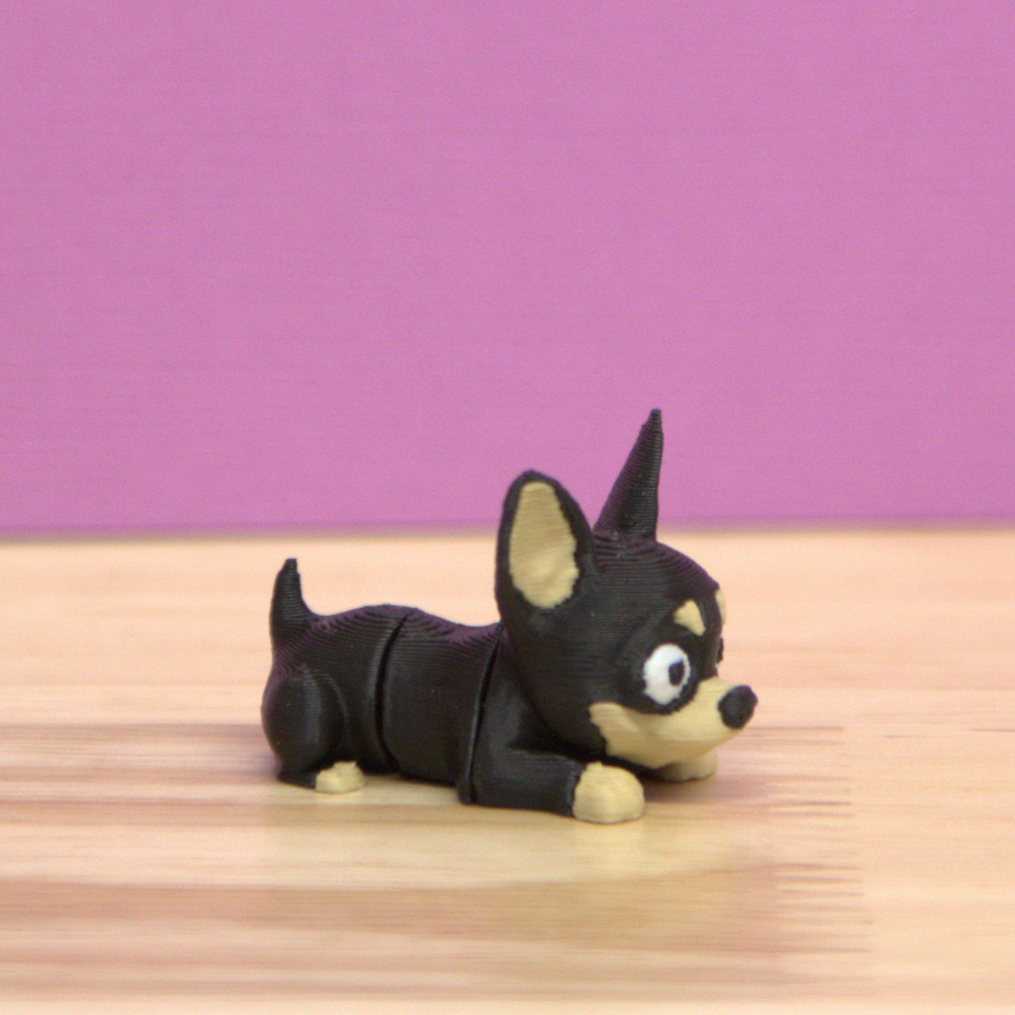Chihuahua