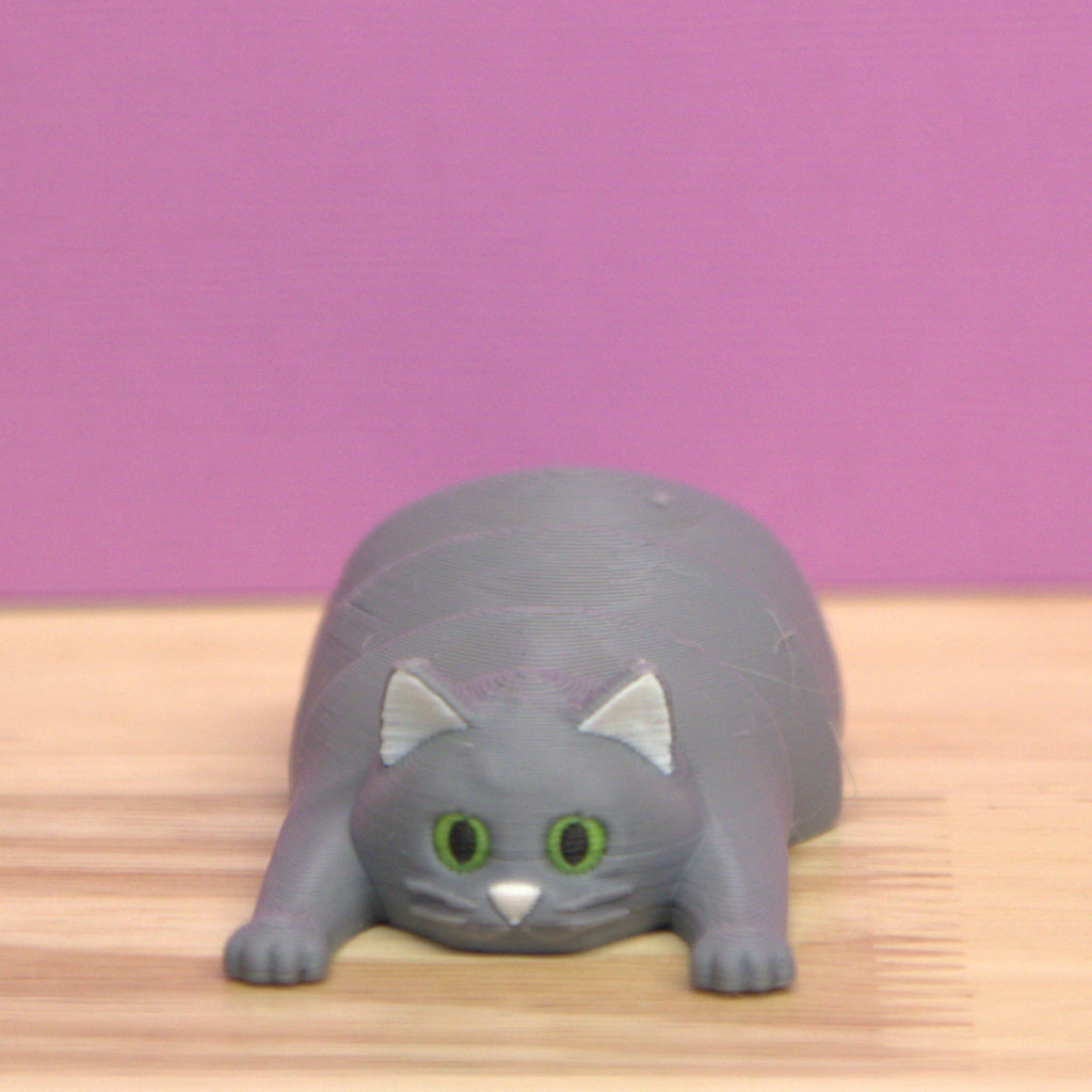 Chonky Bois