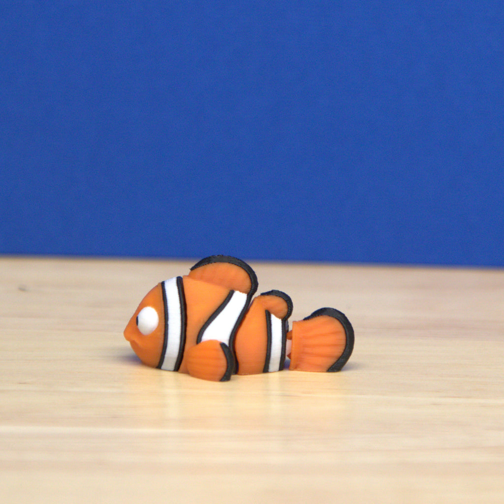 Clown Fish