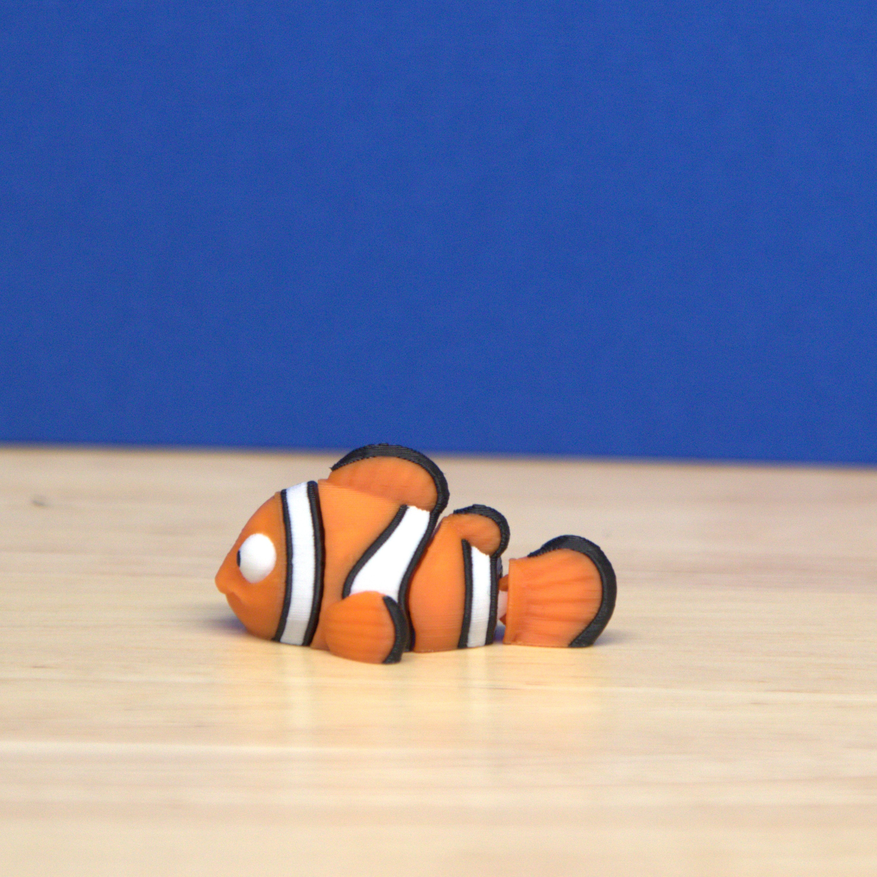 Clown Fish