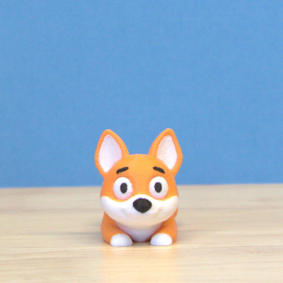 Corgi