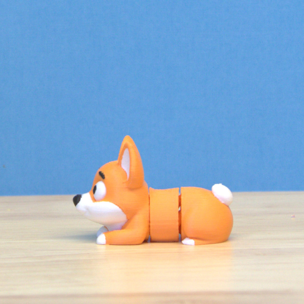 Corgi