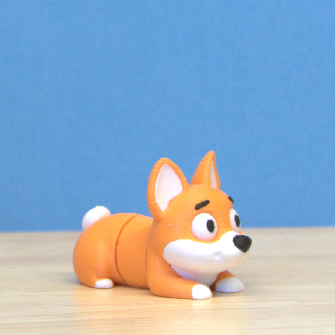 Corgi