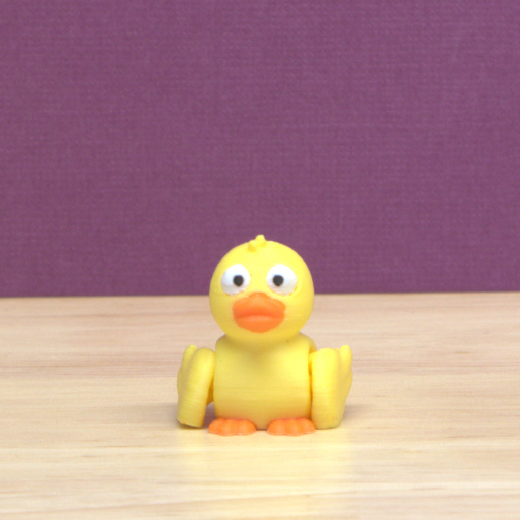 Duck