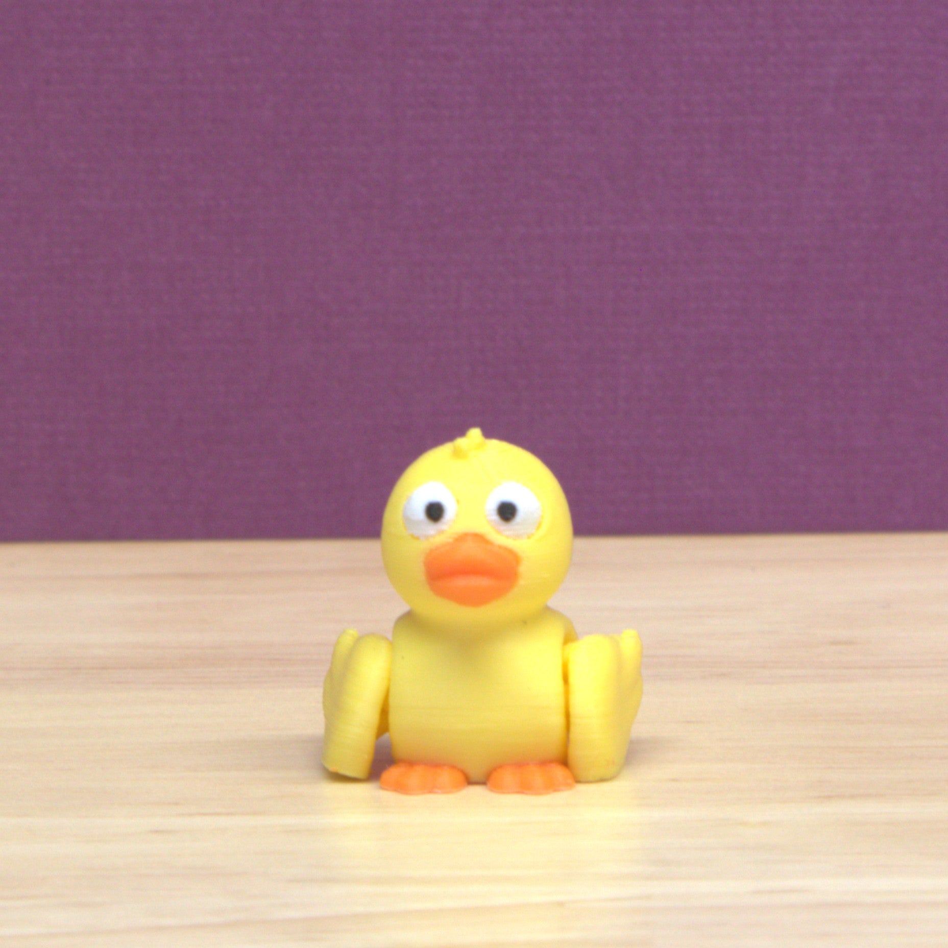 Duck
