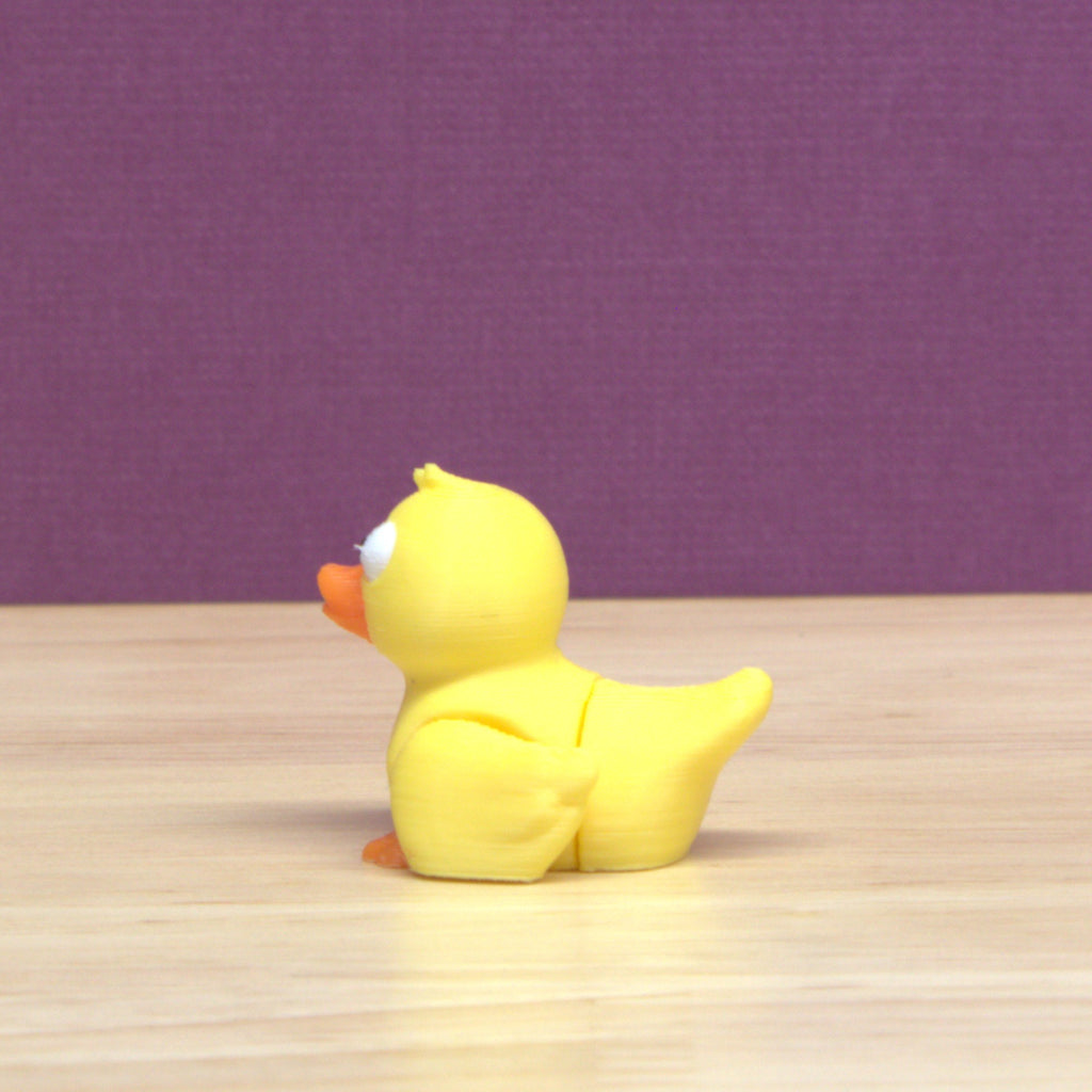 Duck