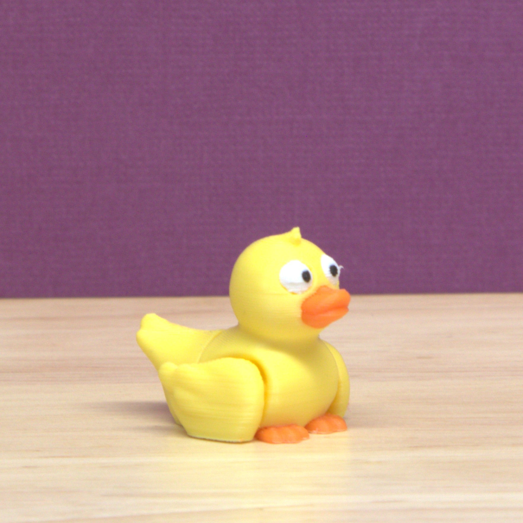 Duck