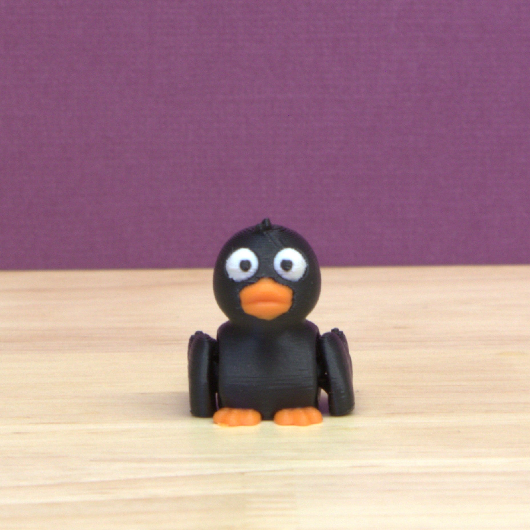 Duck