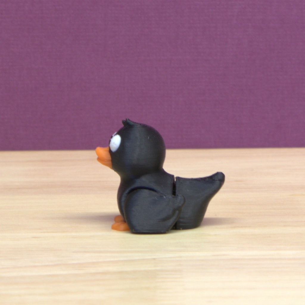 Duck