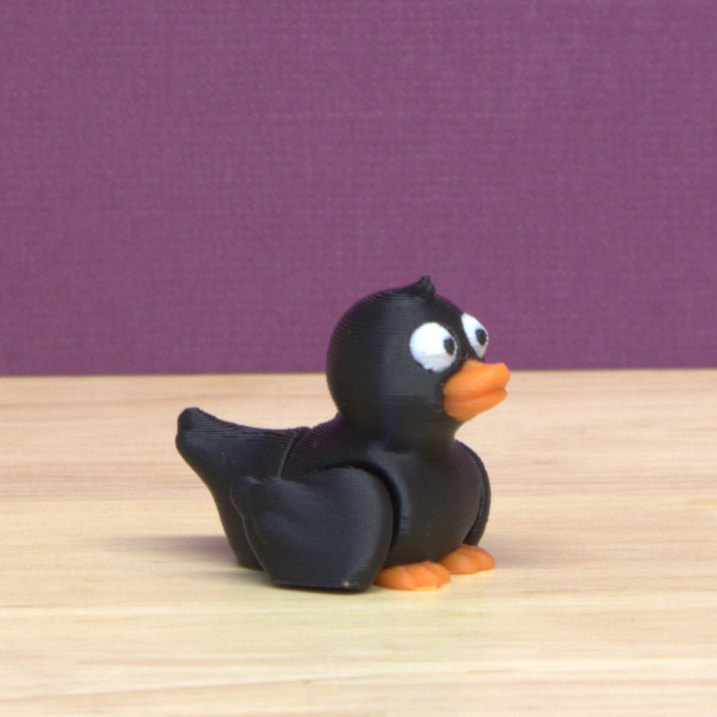 Duck