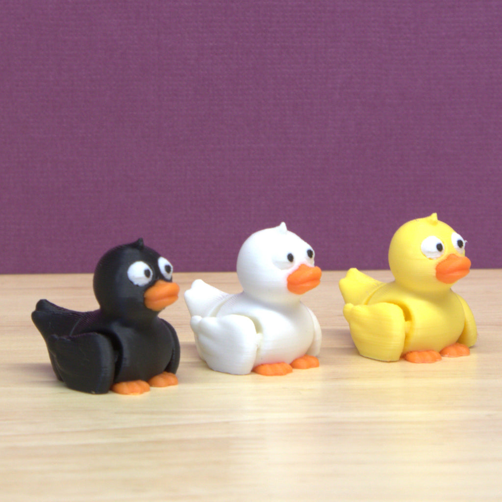 Duck