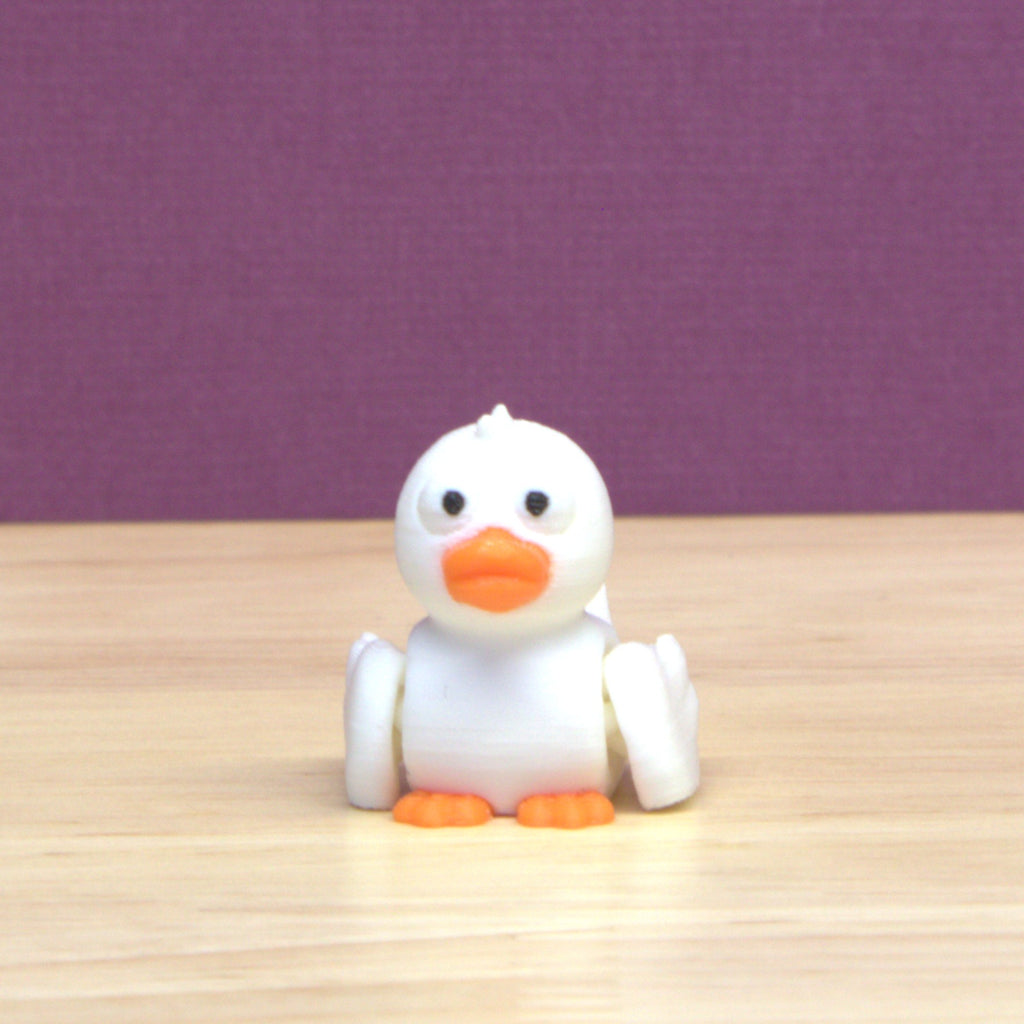 Duck