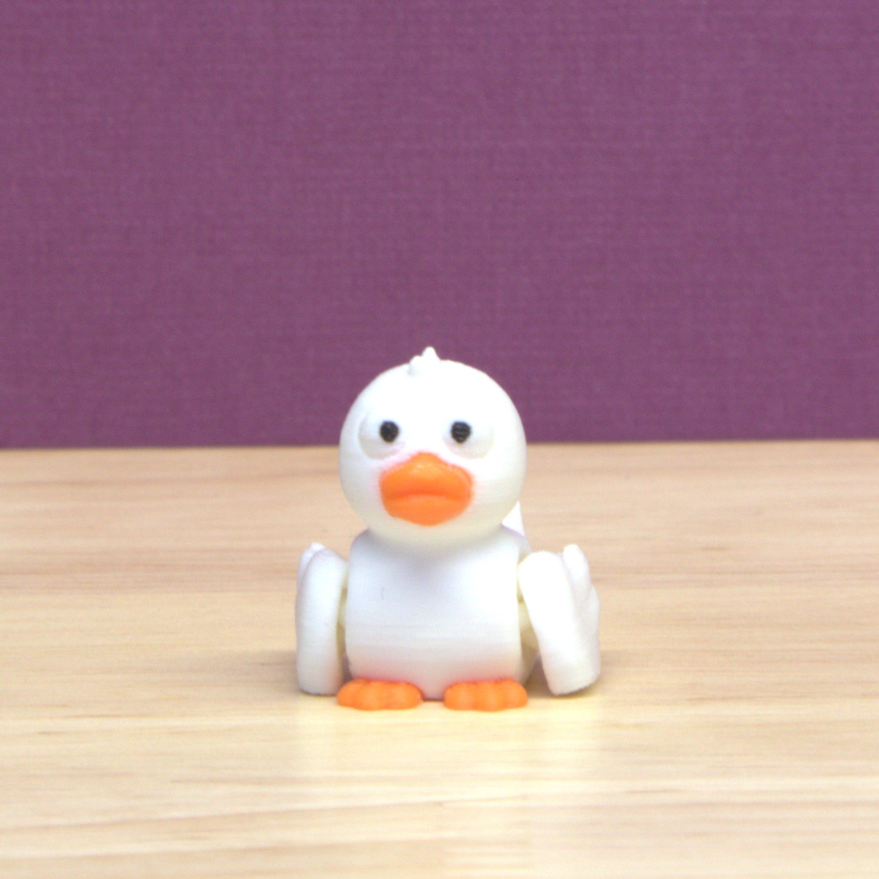 Duck