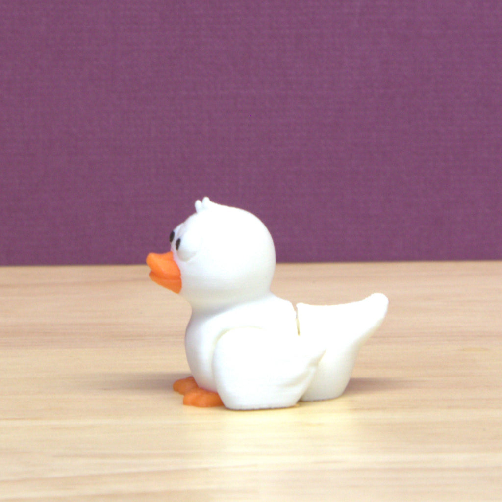 Duck