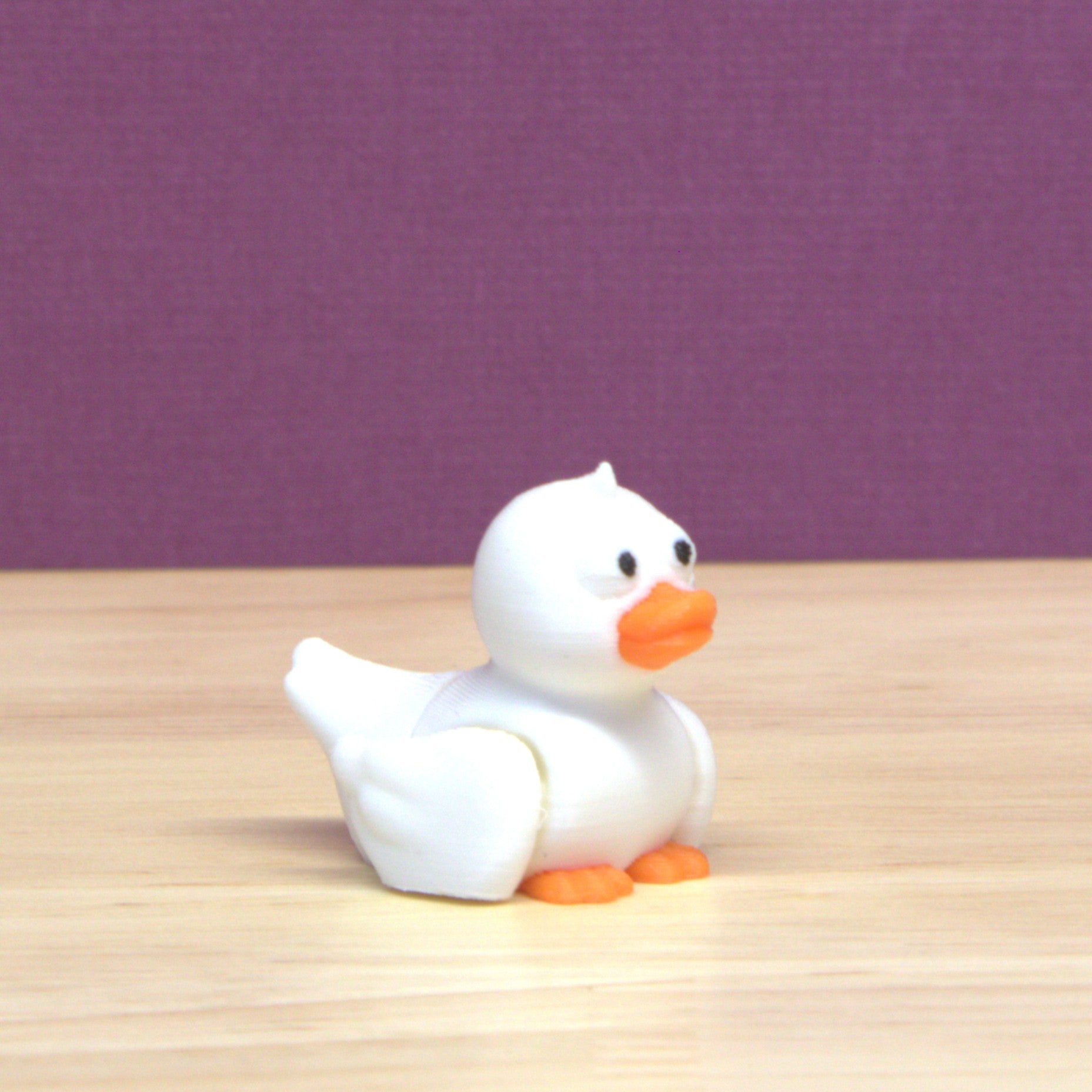 Duck