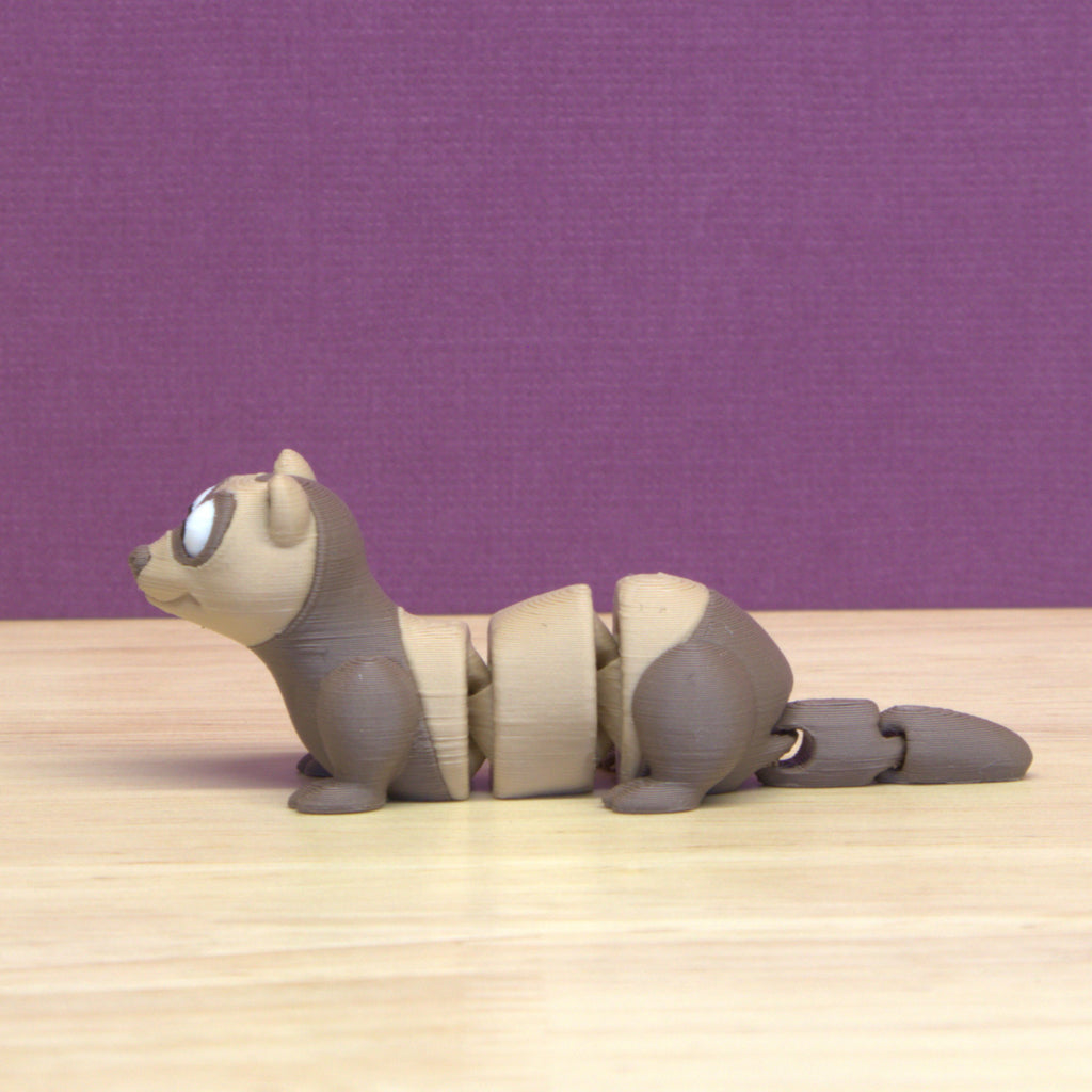 Ferret