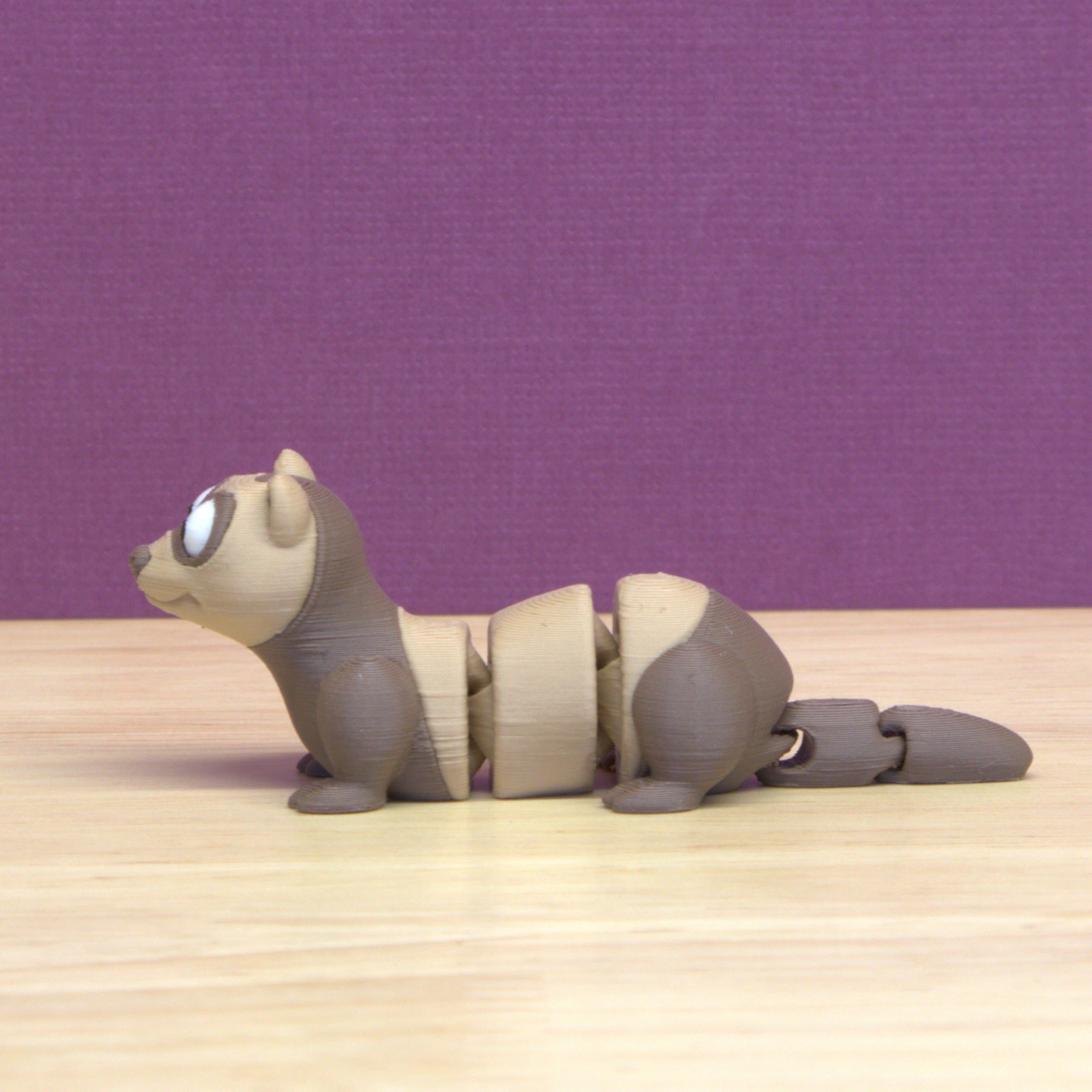 Ferret