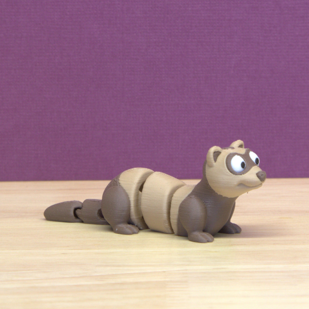 Ferret