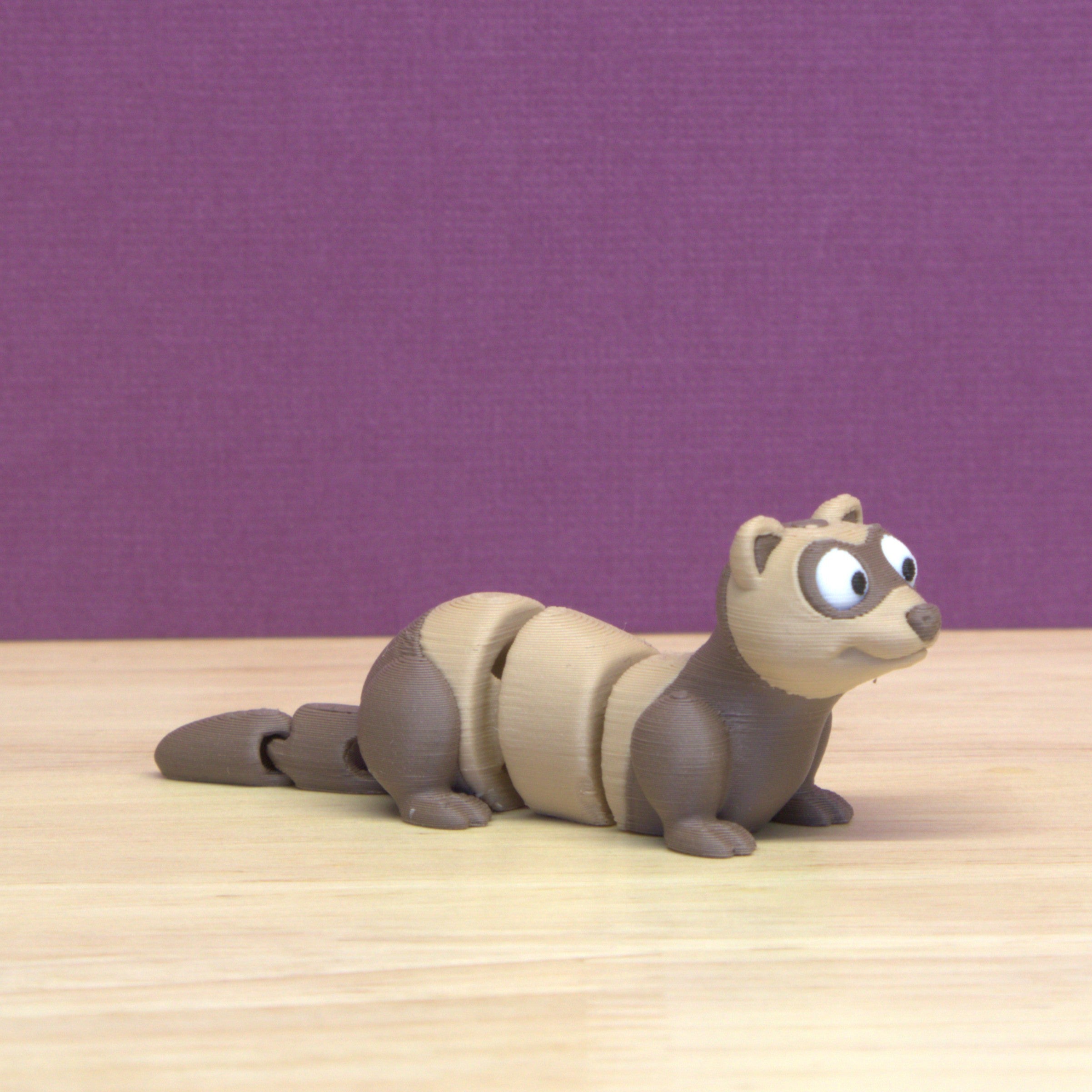 Ferret