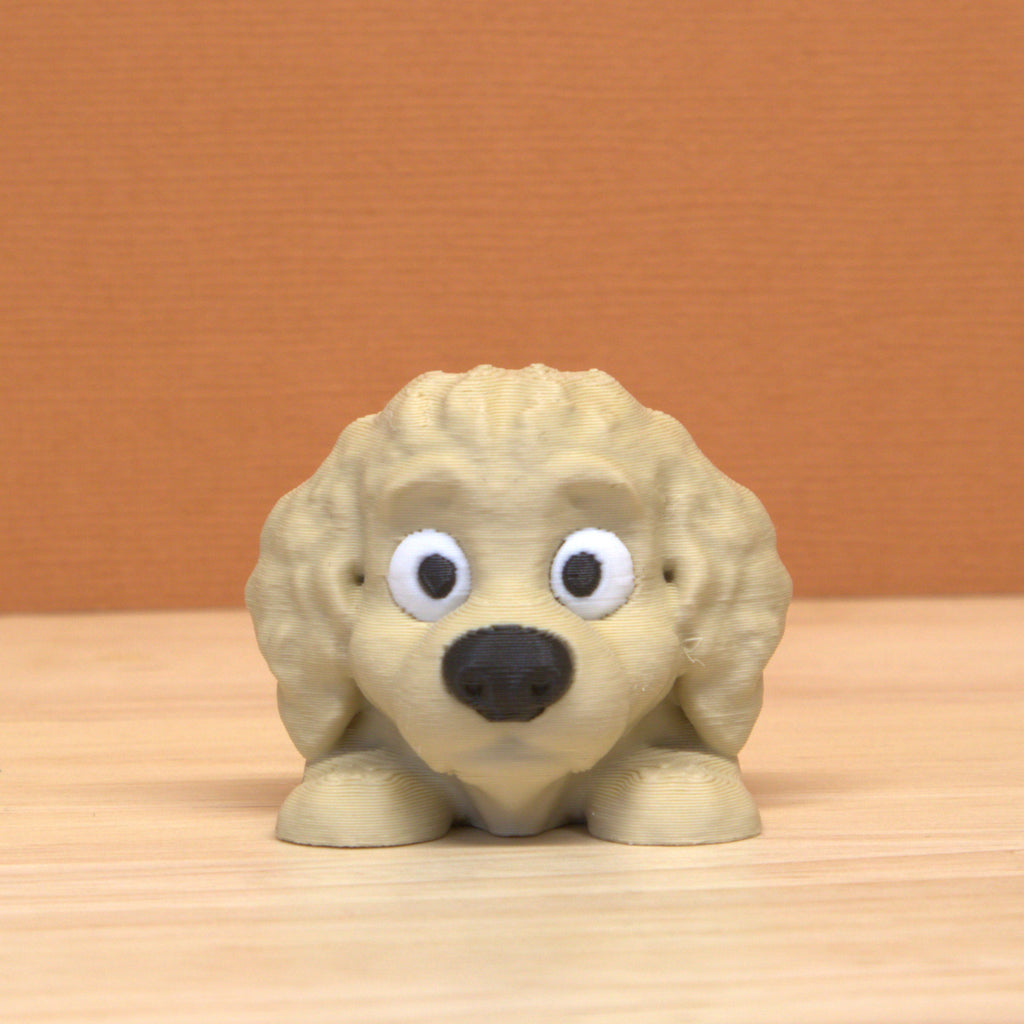 Golden Doodle