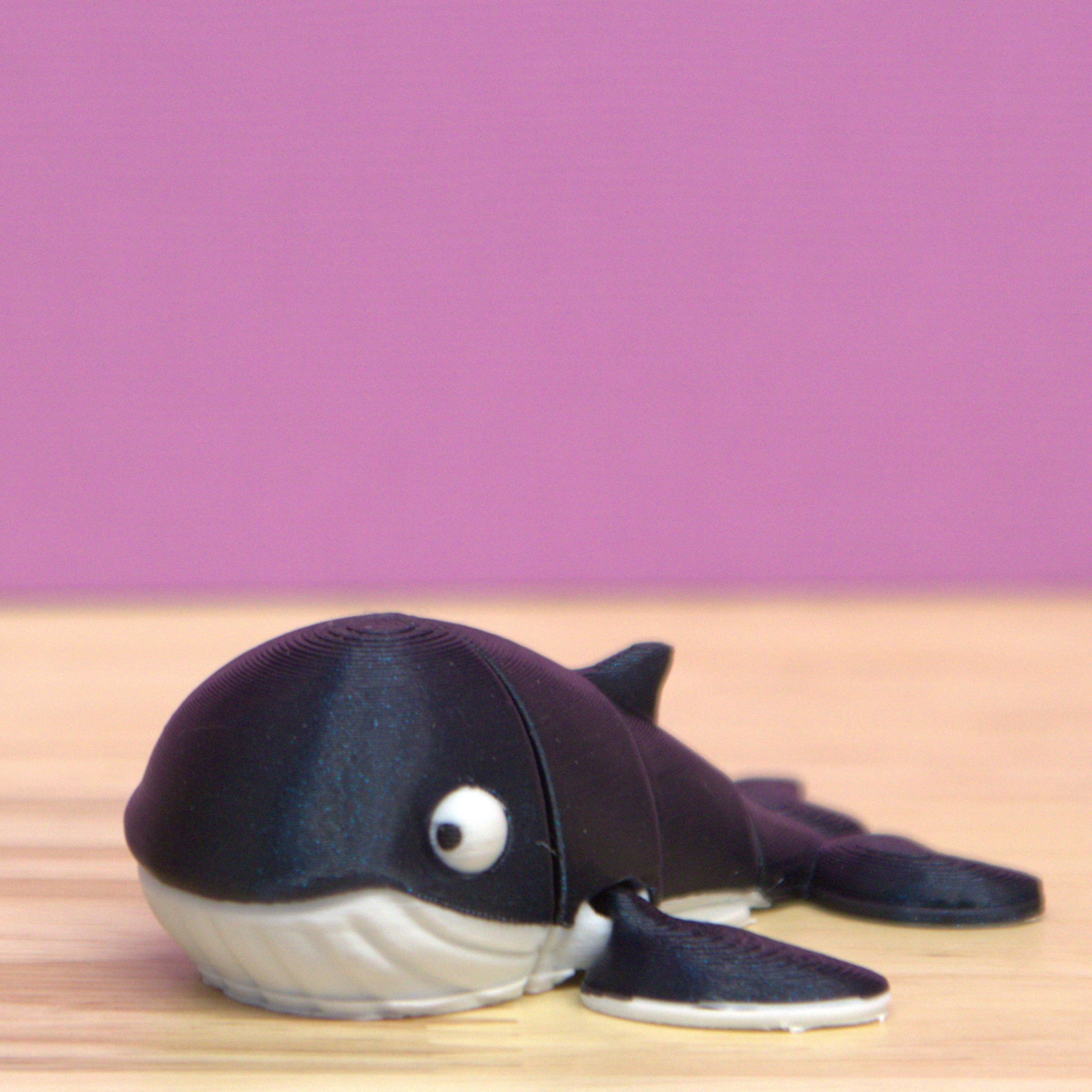 Humpback Whale