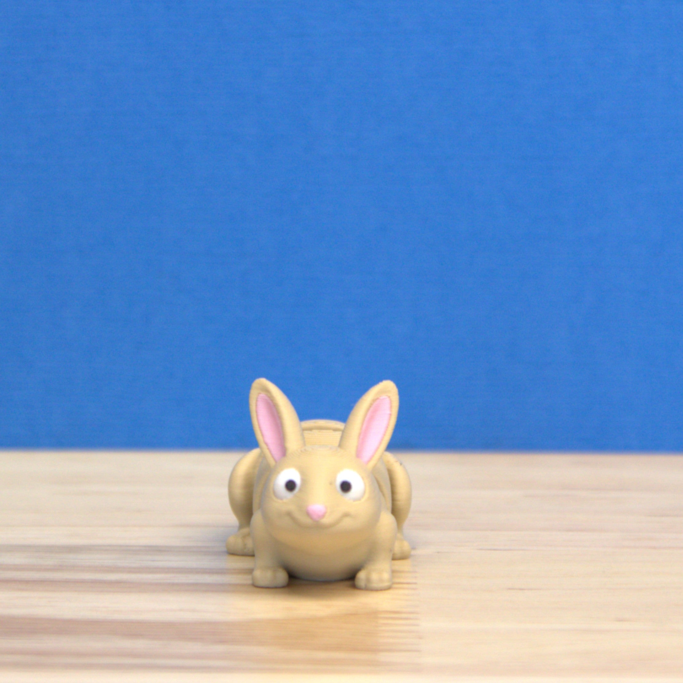 Itty Bitty Bunny