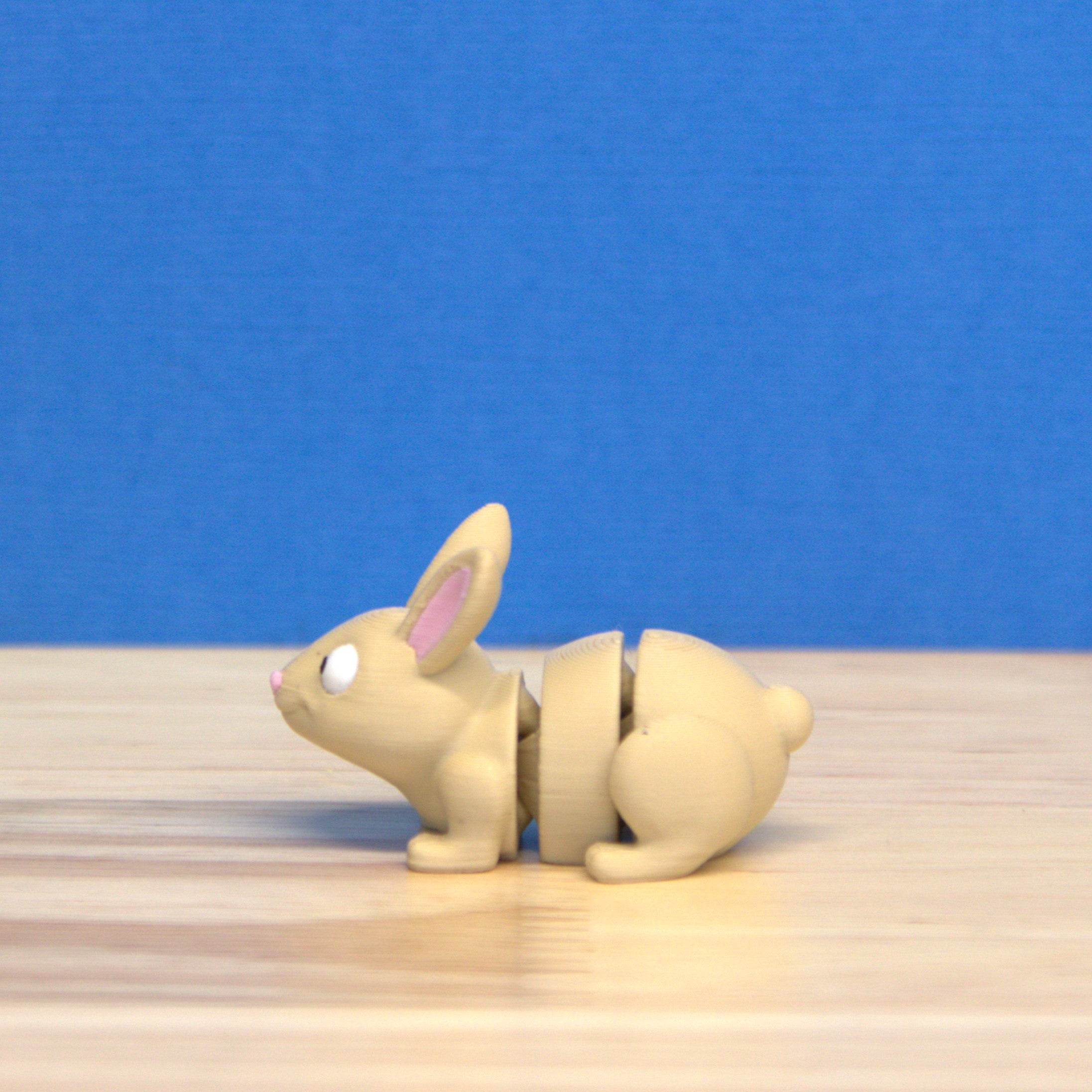 Itty Bitty Bunny